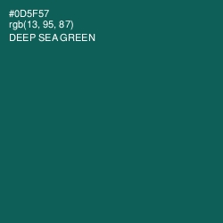 #0D5F57 - Deep Sea Green Color Image